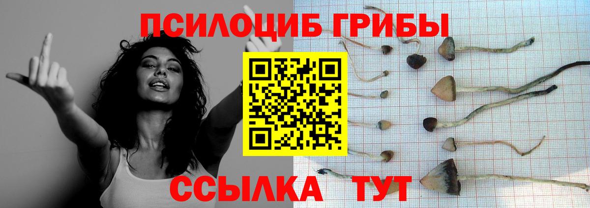 Лабинск  Галлюциногенные грибы Psilocybe  закладки  Вход с VPN 